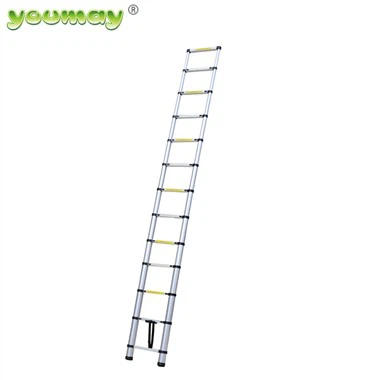 Estensione Pieghevole Loft Ladder